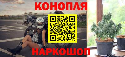 эйфоретик Кингисепп