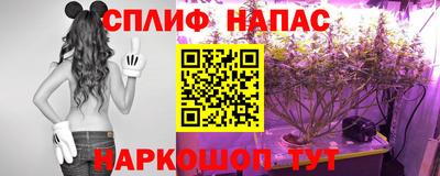 эйфоретик Кингисепп