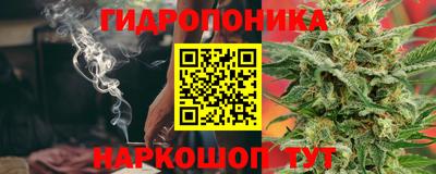 трава Кимры