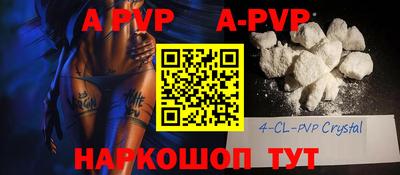 эйфоретик Кингисепп