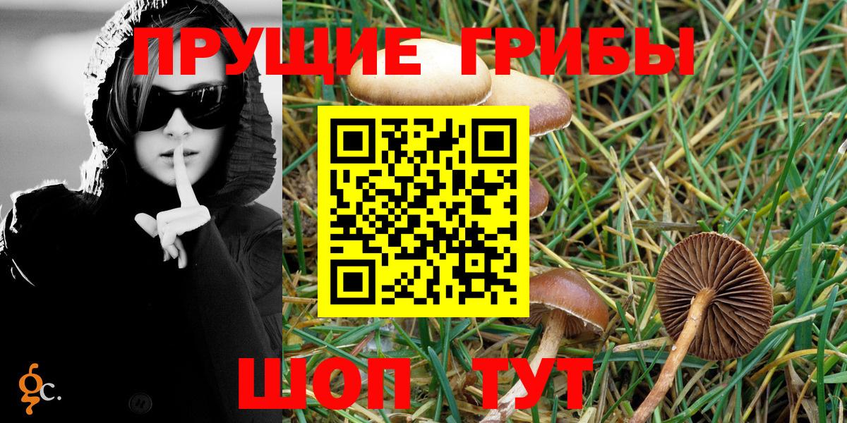 Галлюциногенные грибы Psilocybe  Вход с VPN  Сызрань 